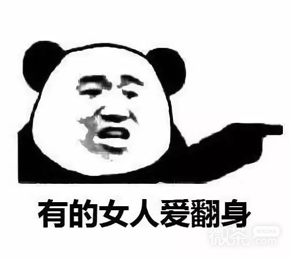 熊猫头我想静静微信恶搞带字表情包