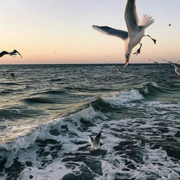 微信清新伤感朋友圈配图