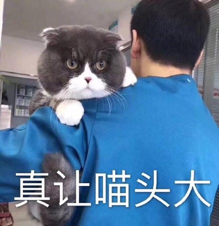 骚逼微信恶搞斗图表情包