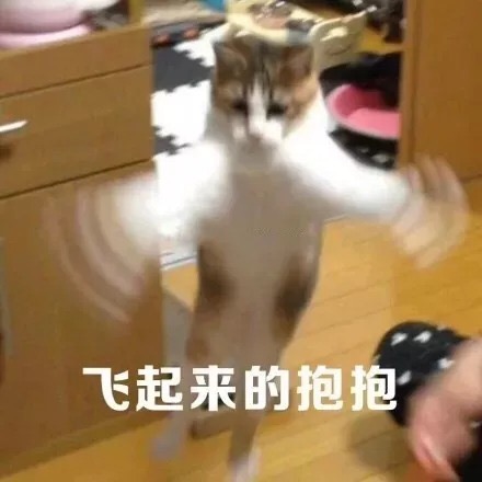 每日沙雕微信斗图表情包合集