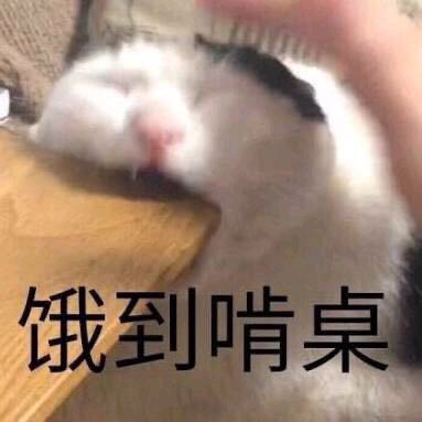 告辞恶搞斗图表情包