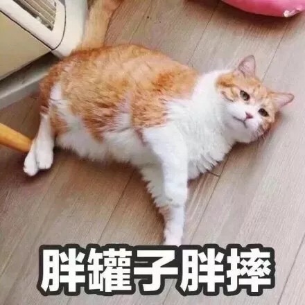 每日沙雕微信斗图表情包合集