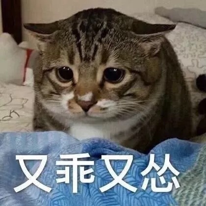 每日沙雕微信斗图表情包合集