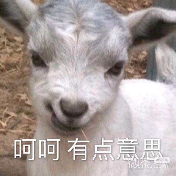 微信近期斗图恶搞表情包2019/11/27
