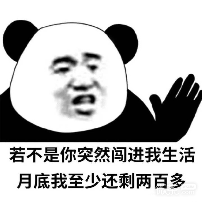 近期热门的群聊斗图专用表情包