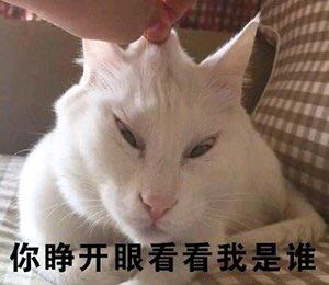 微信近期斗图恶搞表情包2019/11/27