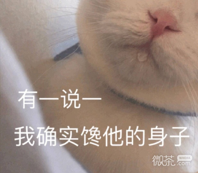 近期热门的群聊斗图专用表情包