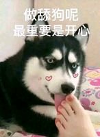 很疲惫了微信恶搞斗图表情包