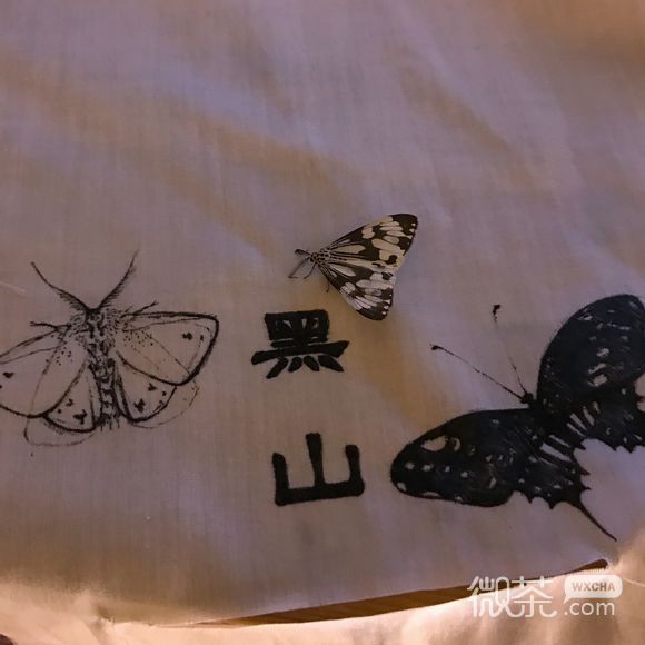 简洁小清新朋友圈配图