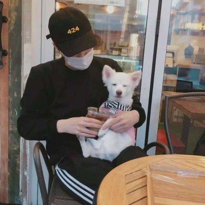 帅气小清新的微信抱宠物男生头像