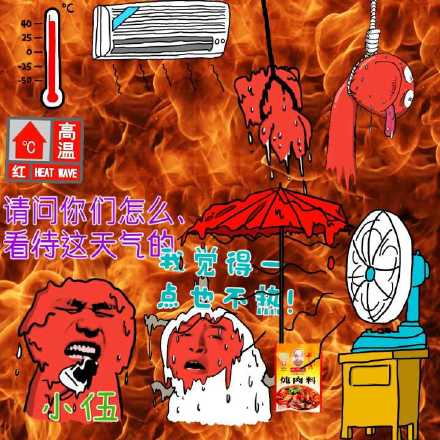 微信近期斗图恶搞表情包2019/12/1
