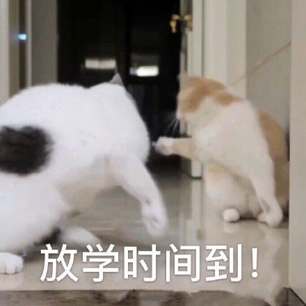 微信近期斗图恶搞表情包2019/11/29