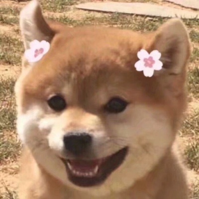 超萌超可爱的微信萌宠情侣头像