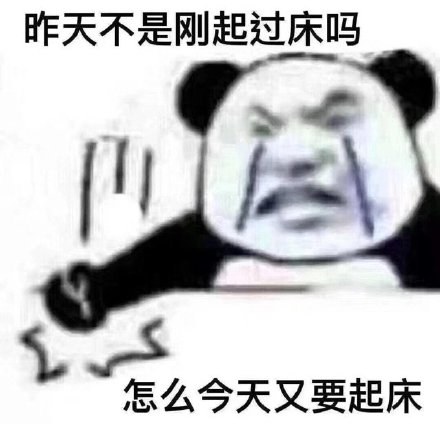 微信近期斗图恶搞表情包2019/11/29（二）