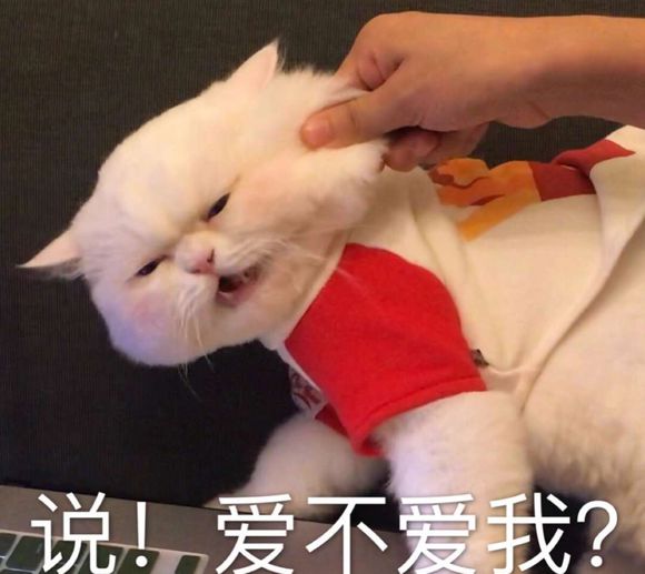 微信近期斗图恶搞表情包2019/11/29