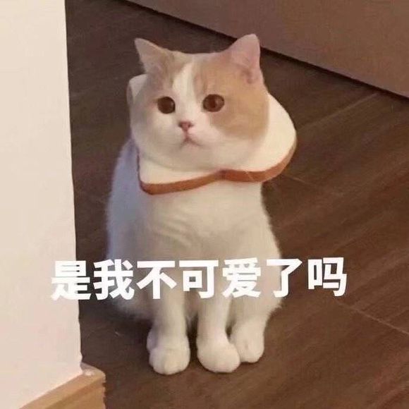 微信近期斗图恶搞表情包2019/11/29