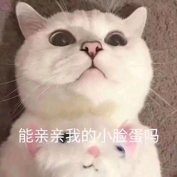 偷偷抹泪微信恶搞斗图表情包