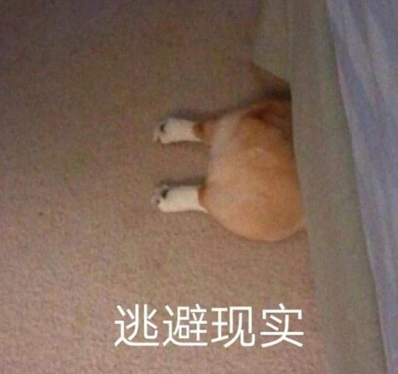 微信近期斗图恶搞表情包2019/11/29