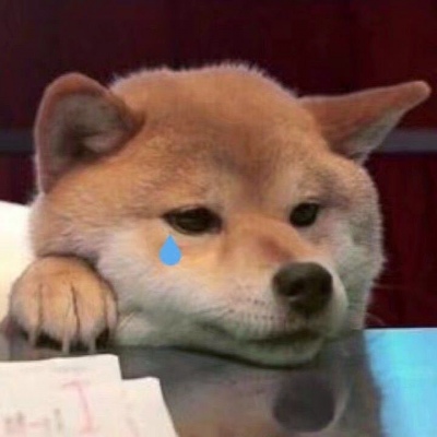 超萌超可爱的微信萌宠情侣头像