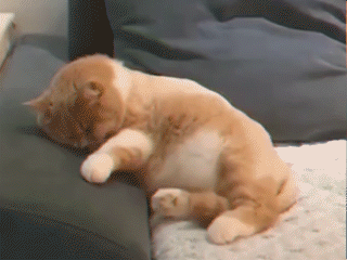 给你的微信恶搞斗图表情包