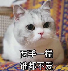 微信近期斗图恶搞表情包2019/11/29