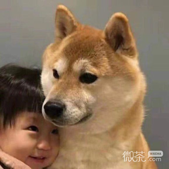 逗比情侣头像