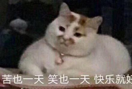 微信近期斗图恶搞表情包2019/11/29