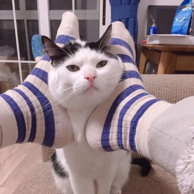 超萌超可爱的微信萌宠情侣头像