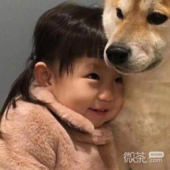 逗比情侣头像