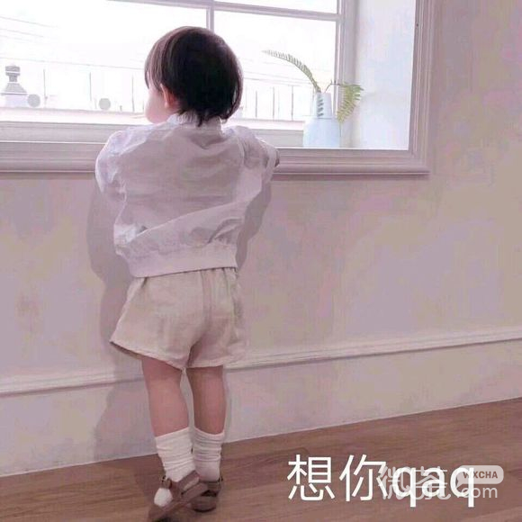老婆微信恶搞斗图表情包