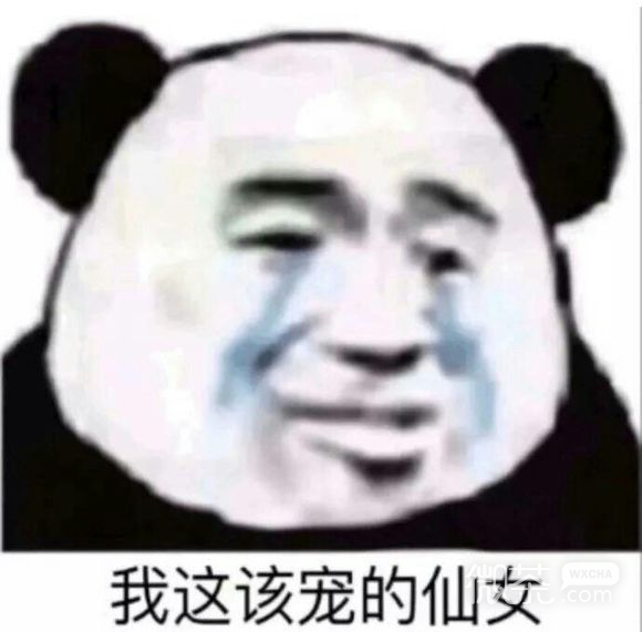 微信搞笑斗图表情包