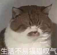 我自闭了微信恶搞斗图表情包