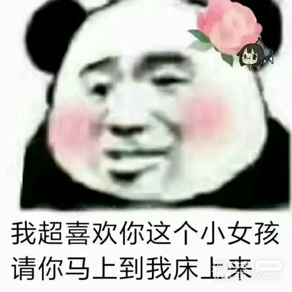 微信搞笑斗图表情包