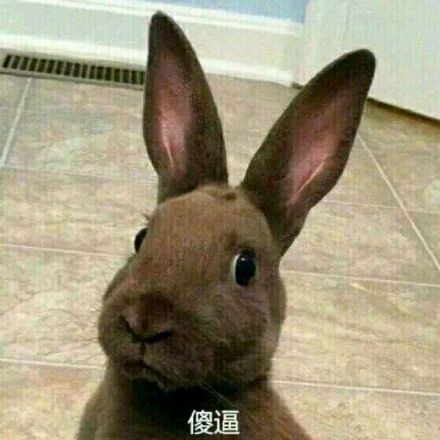 我自闭了微信恶搞斗图表情包