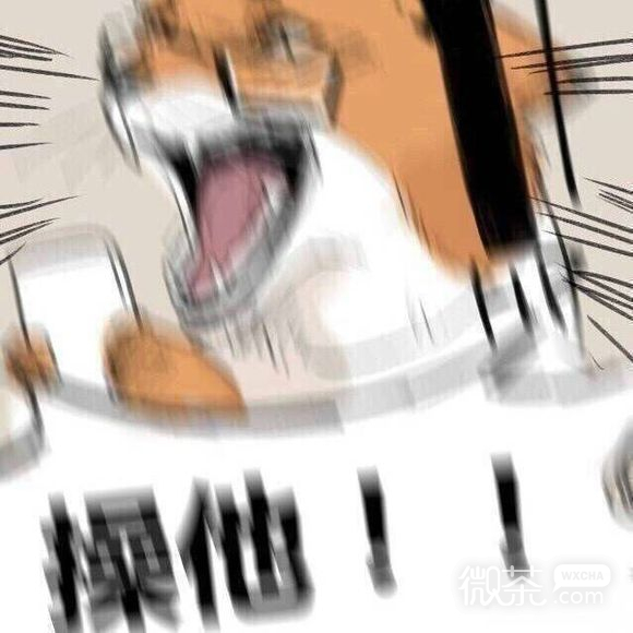 微信搞笑斗图表情包