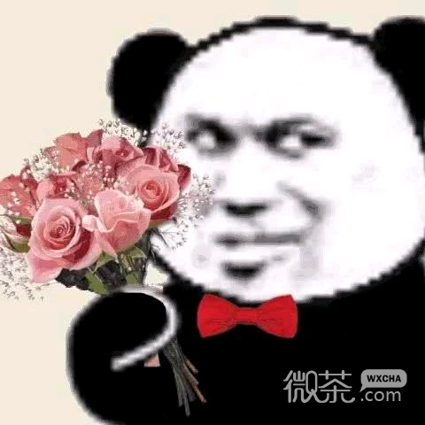 微信近期斗图恶搞表情包2019/12/3（二）