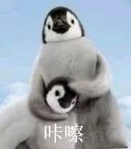 微信近期斗图恶搞表情包2019/12/3（二）
