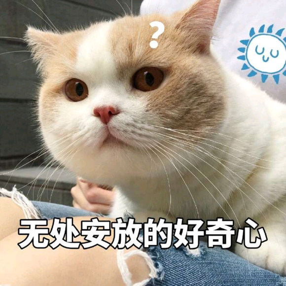 委屈斗图表情包