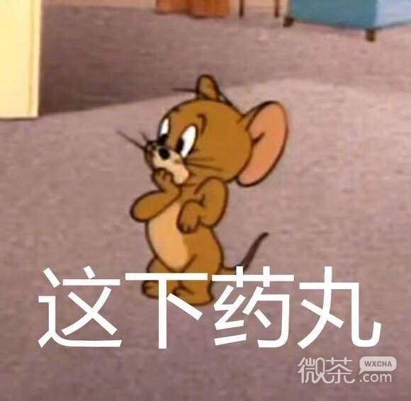 可爱沙雕的微信猫和老鼠带字表情包