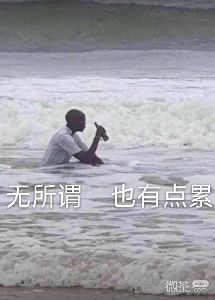 微信每日沙雕斗图表情包套图