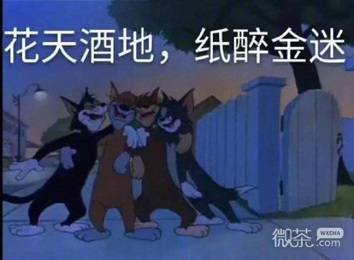 可爱沙雕的微信猫和老鼠带字表情包