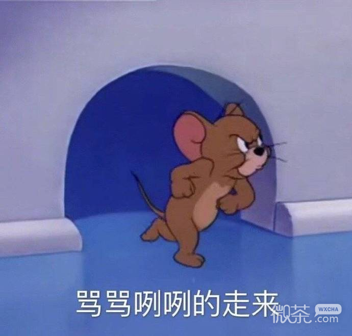 可爱沙雕的微信猫和老鼠带字表情包