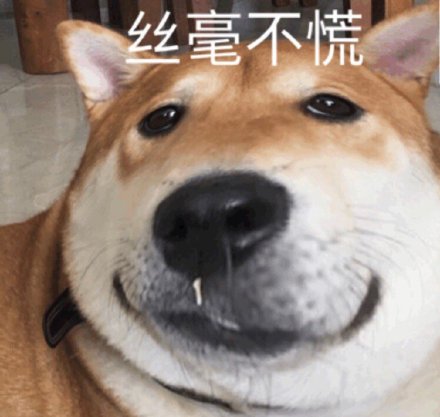 憨厚大嘴狗表情包