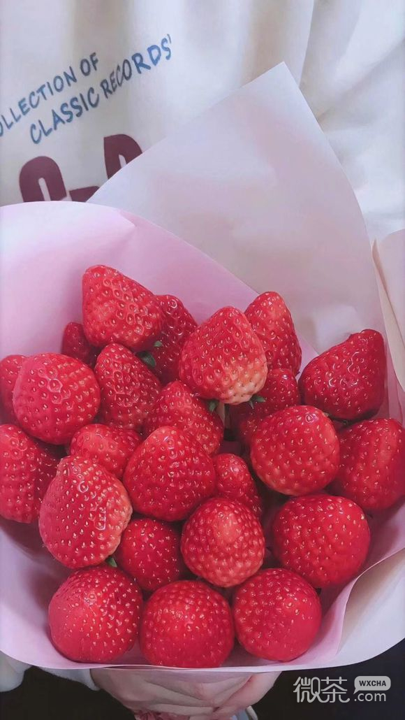 微信草莓手机壁纸