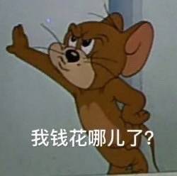 可爱沙雕的微信猫和老鼠带字表情包