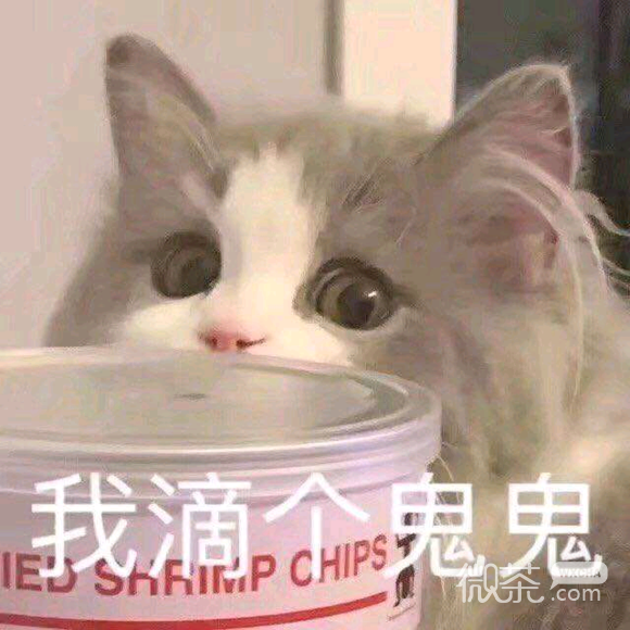 委屈斗图表情包