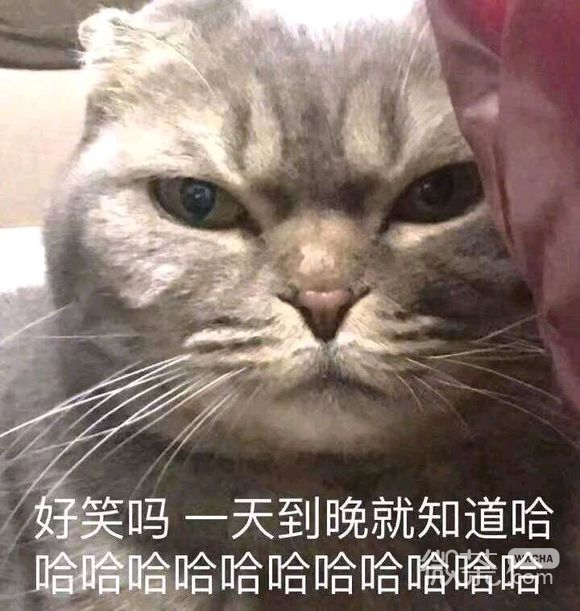 委屈斗图表情包