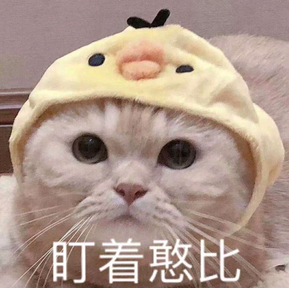 委屈斗图表情包