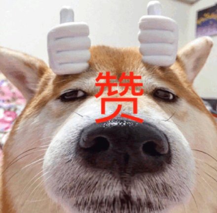 憨厚大嘴狗表情包