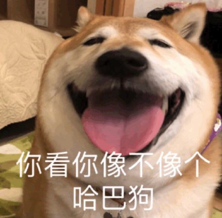 憨厚大嘴狗表情包